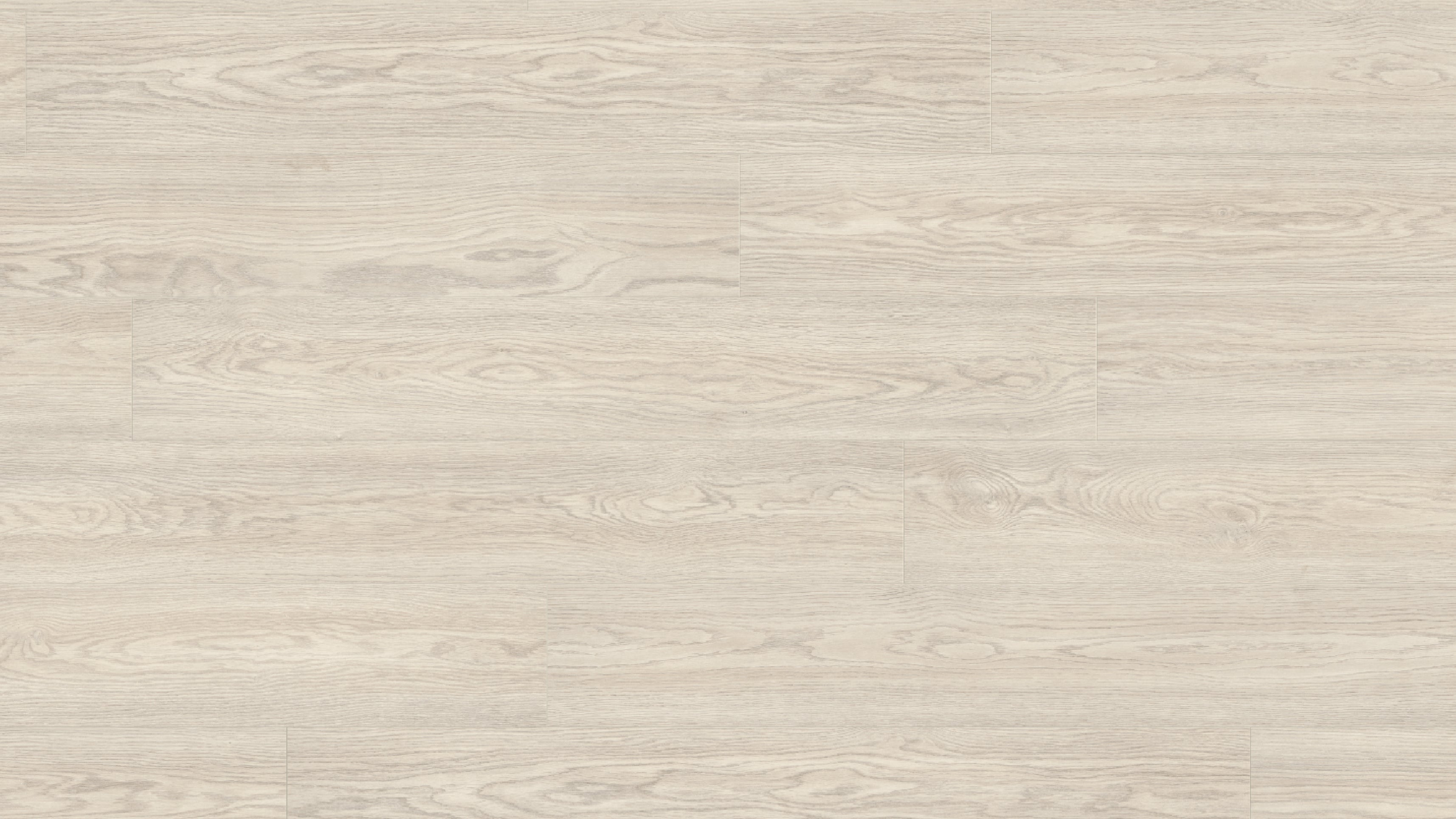 EL2062 索里亞白橡