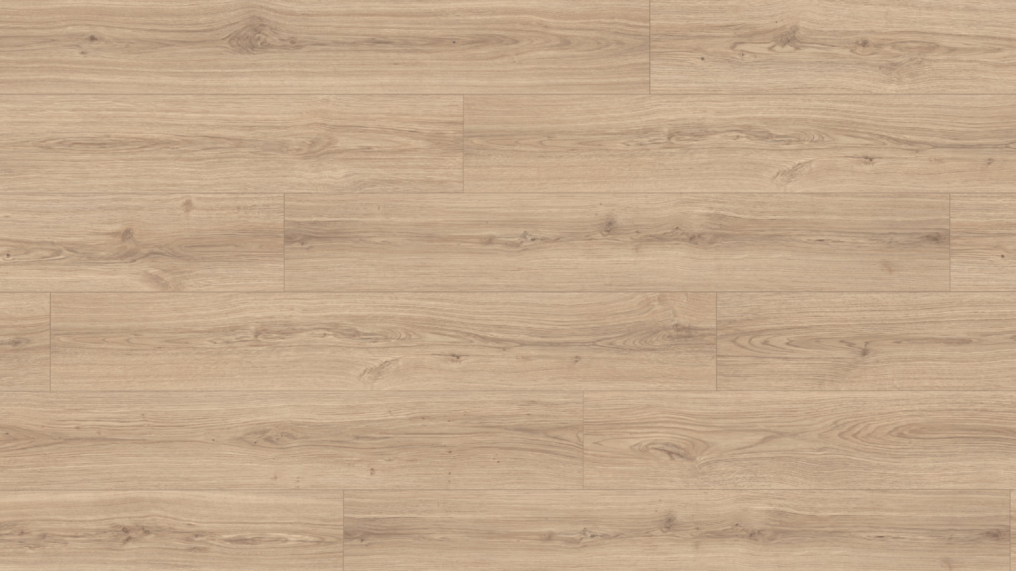 EL2171 帕多瓦原橡