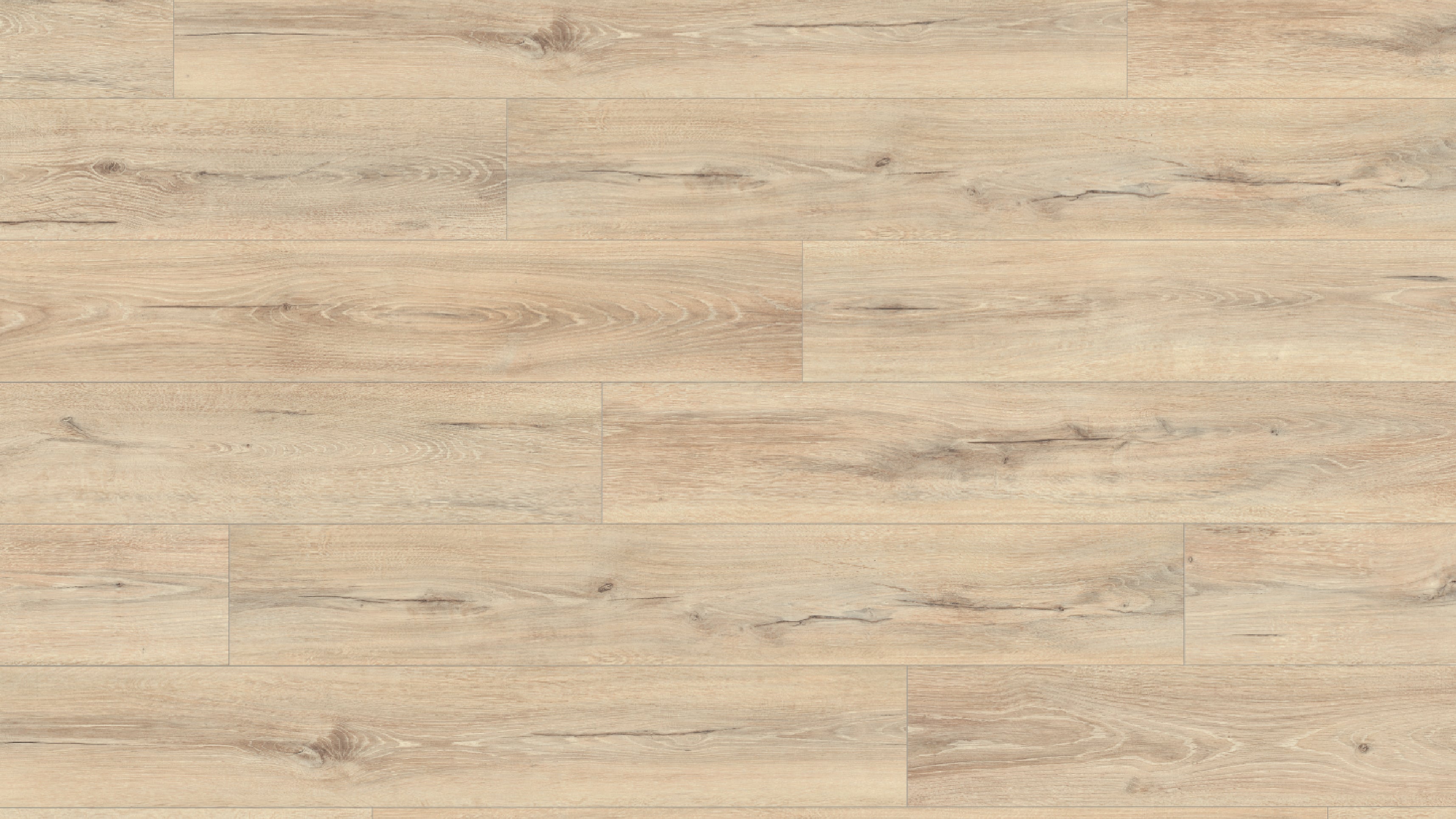 EL2416 梅爾巴米橡