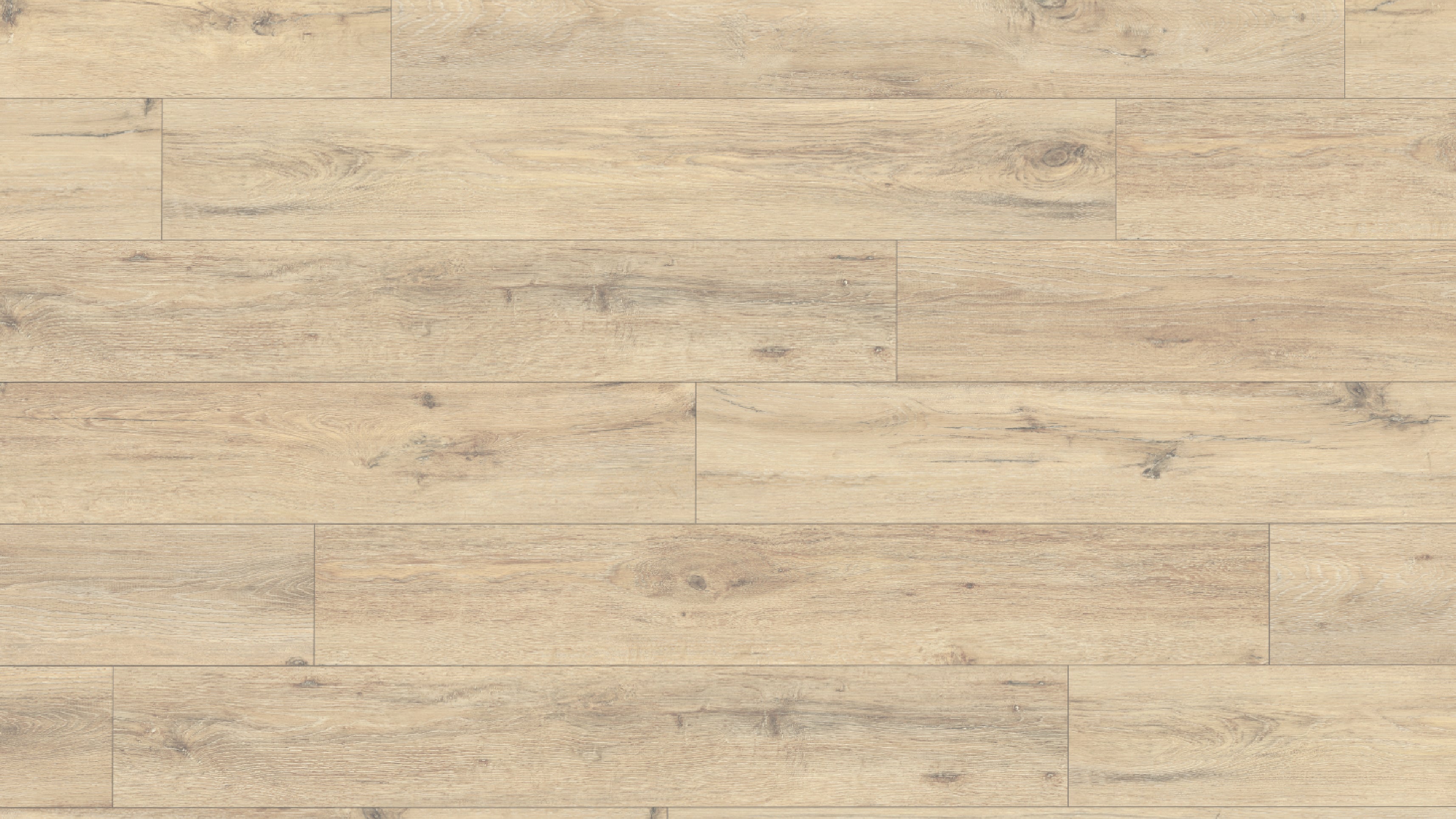 EL2805 帕爾凱橡木