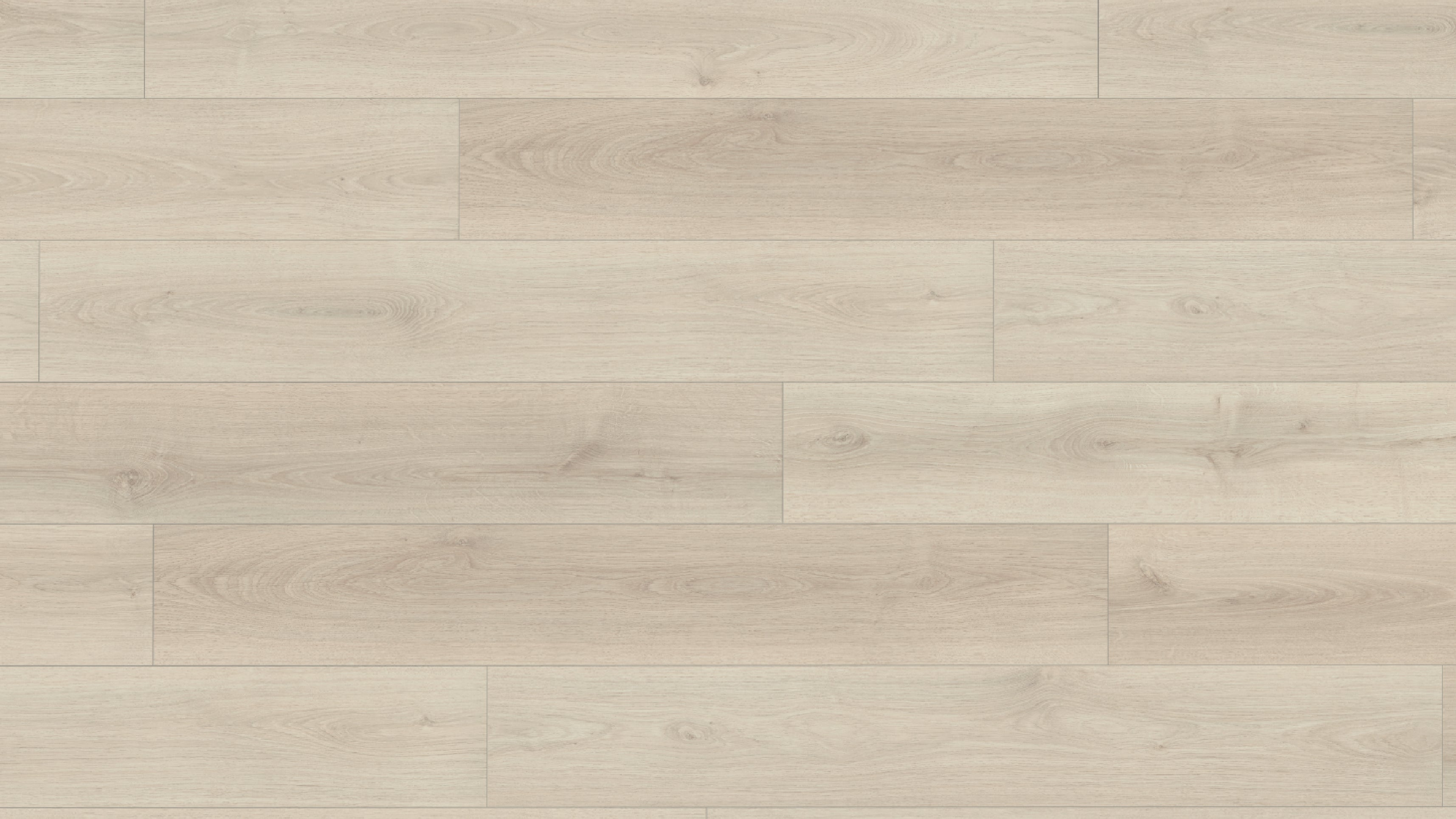 EL2831 愛爾頓白橡