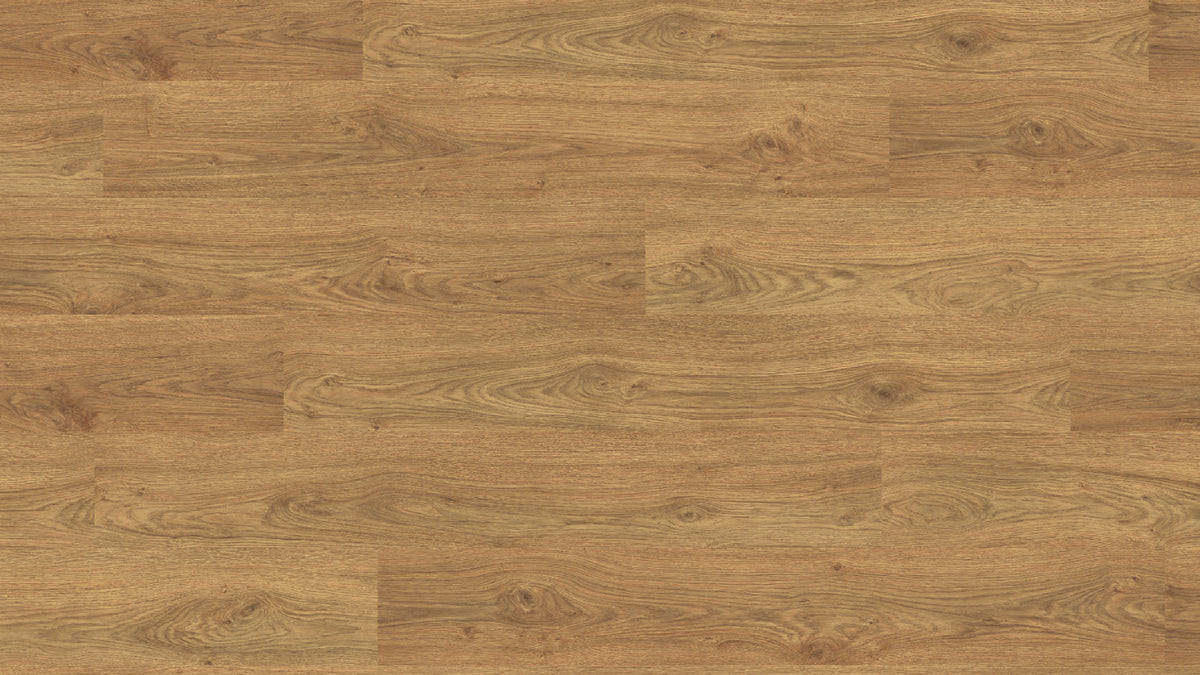 EL2863 阿斯吉蜜橡