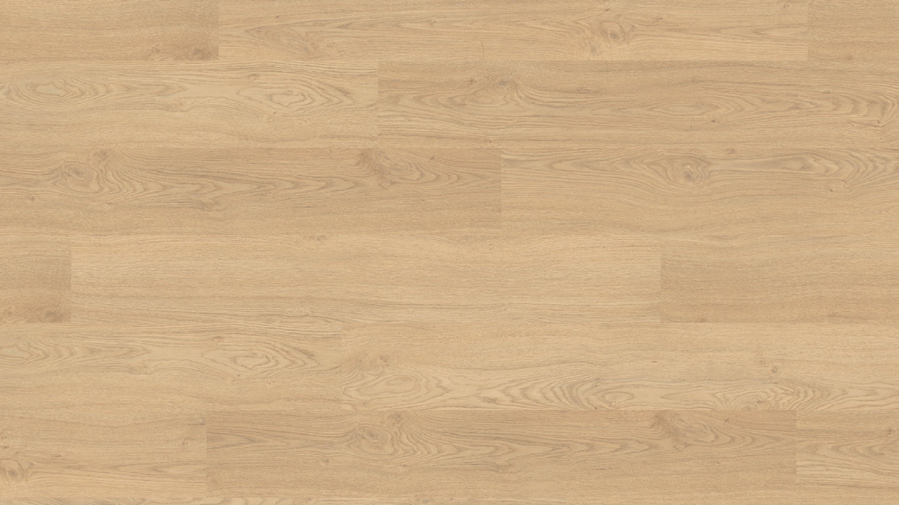 EL2974 馬泰拉白橡