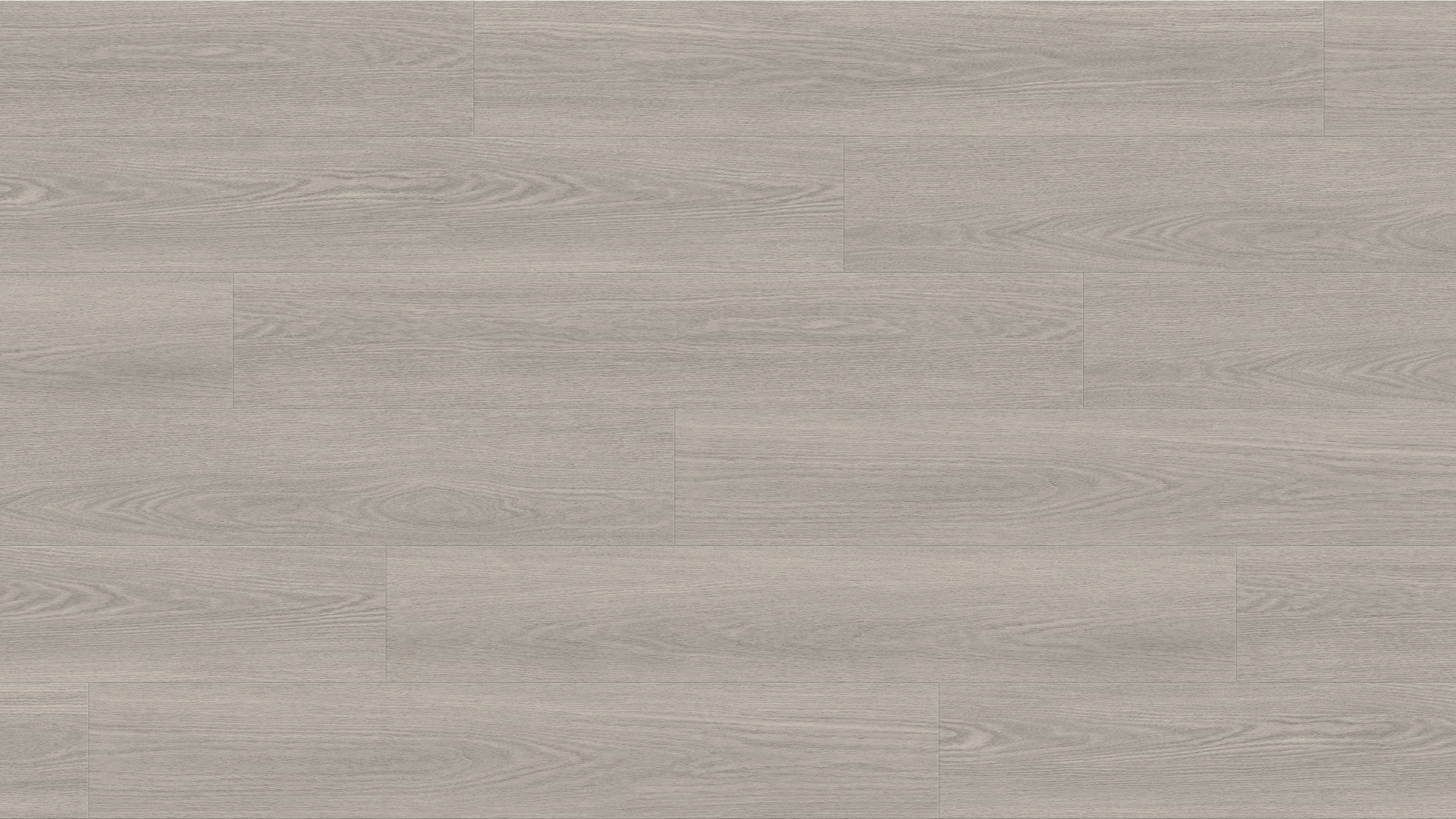 GL6112 博比尼灰橡