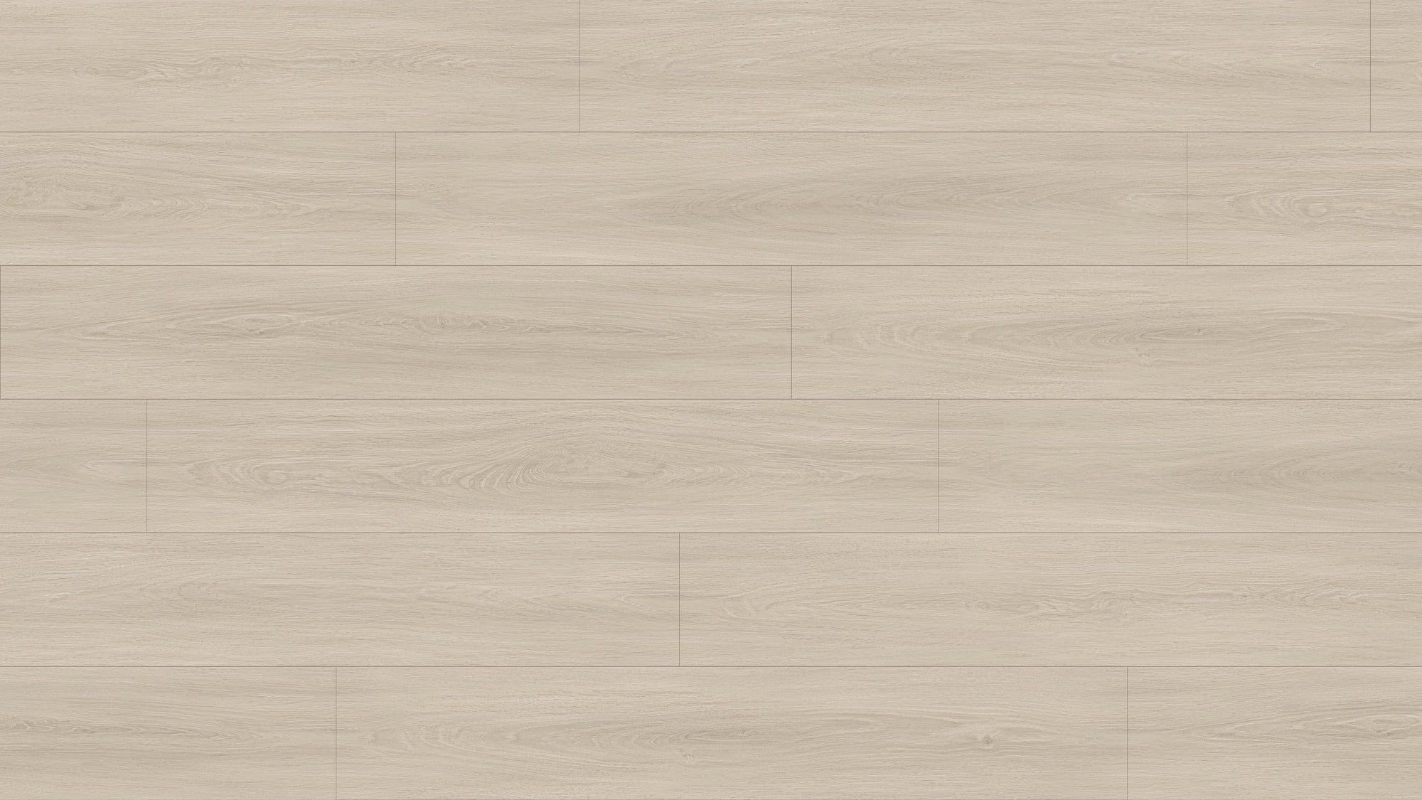 GL6113 伊納里白橡