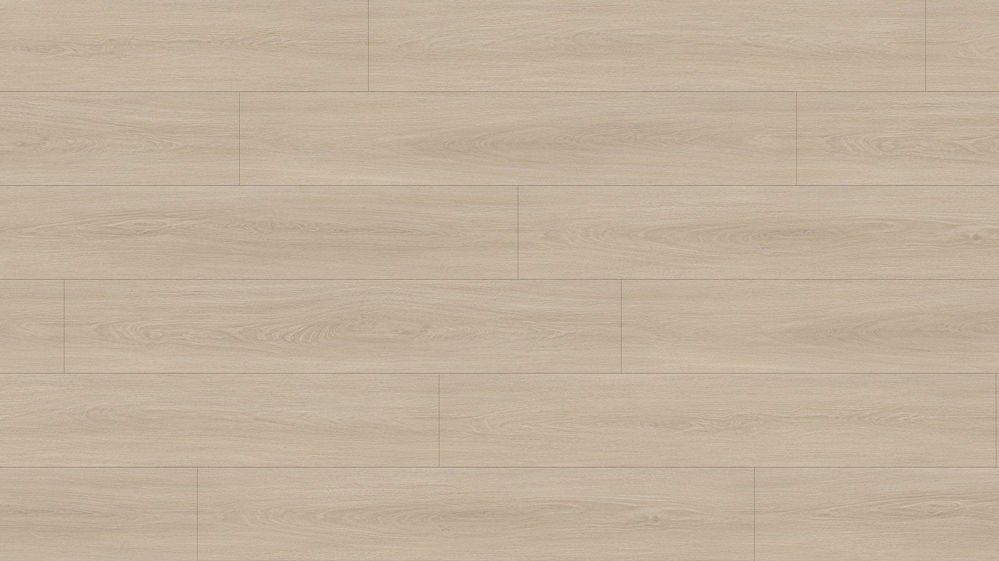 GL6114 溫德爾淺橡