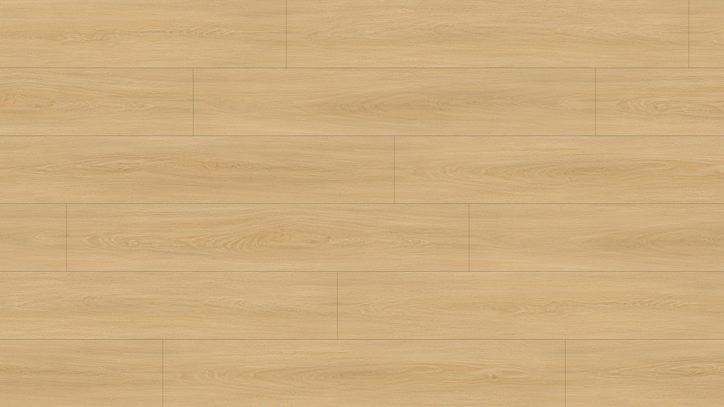 GL6115 斯卡恩米橡