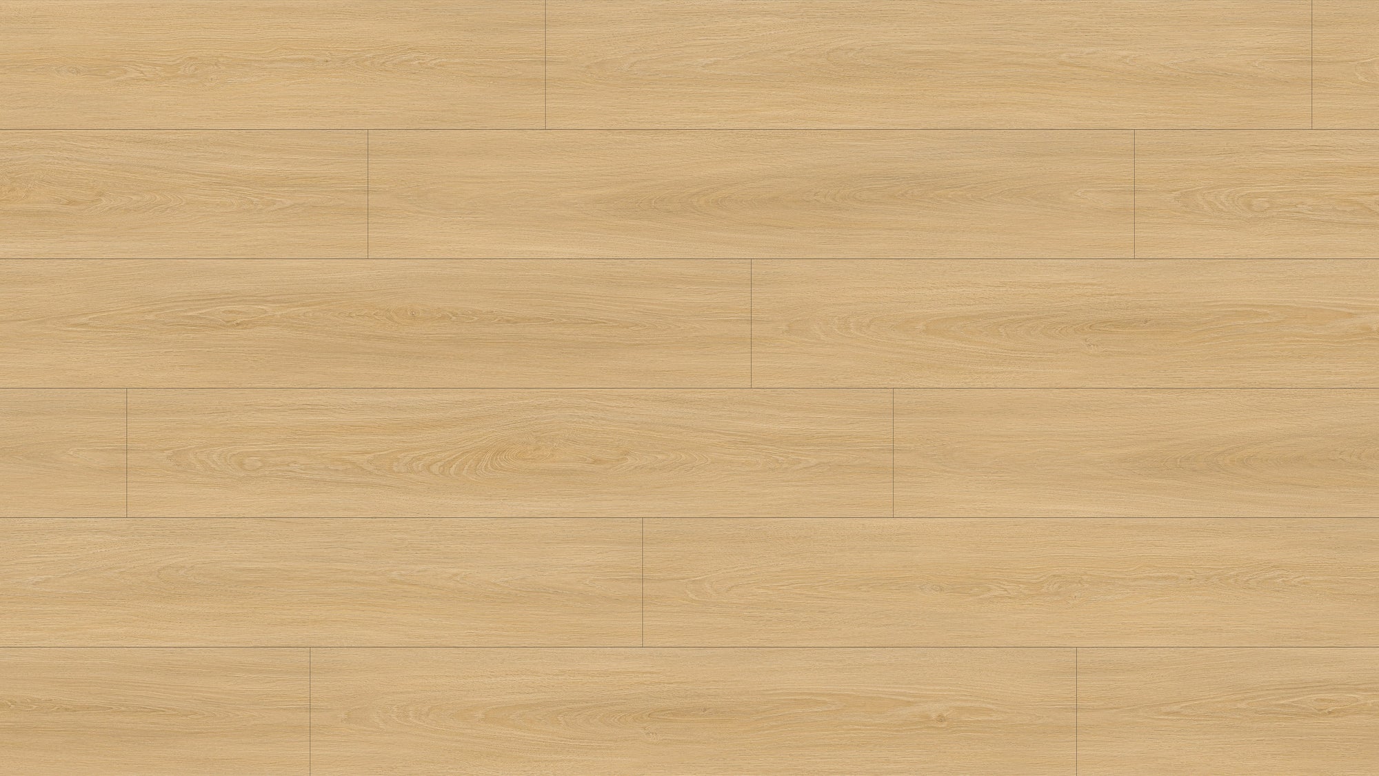 GL6115 斯卡恩米橡