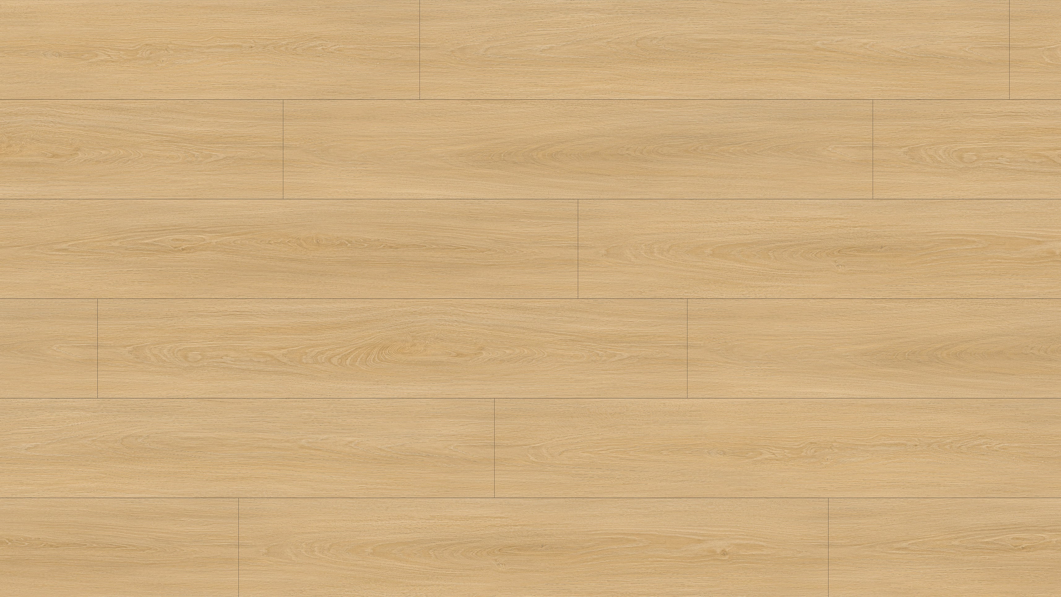 GL6115 斯卡恩米橡