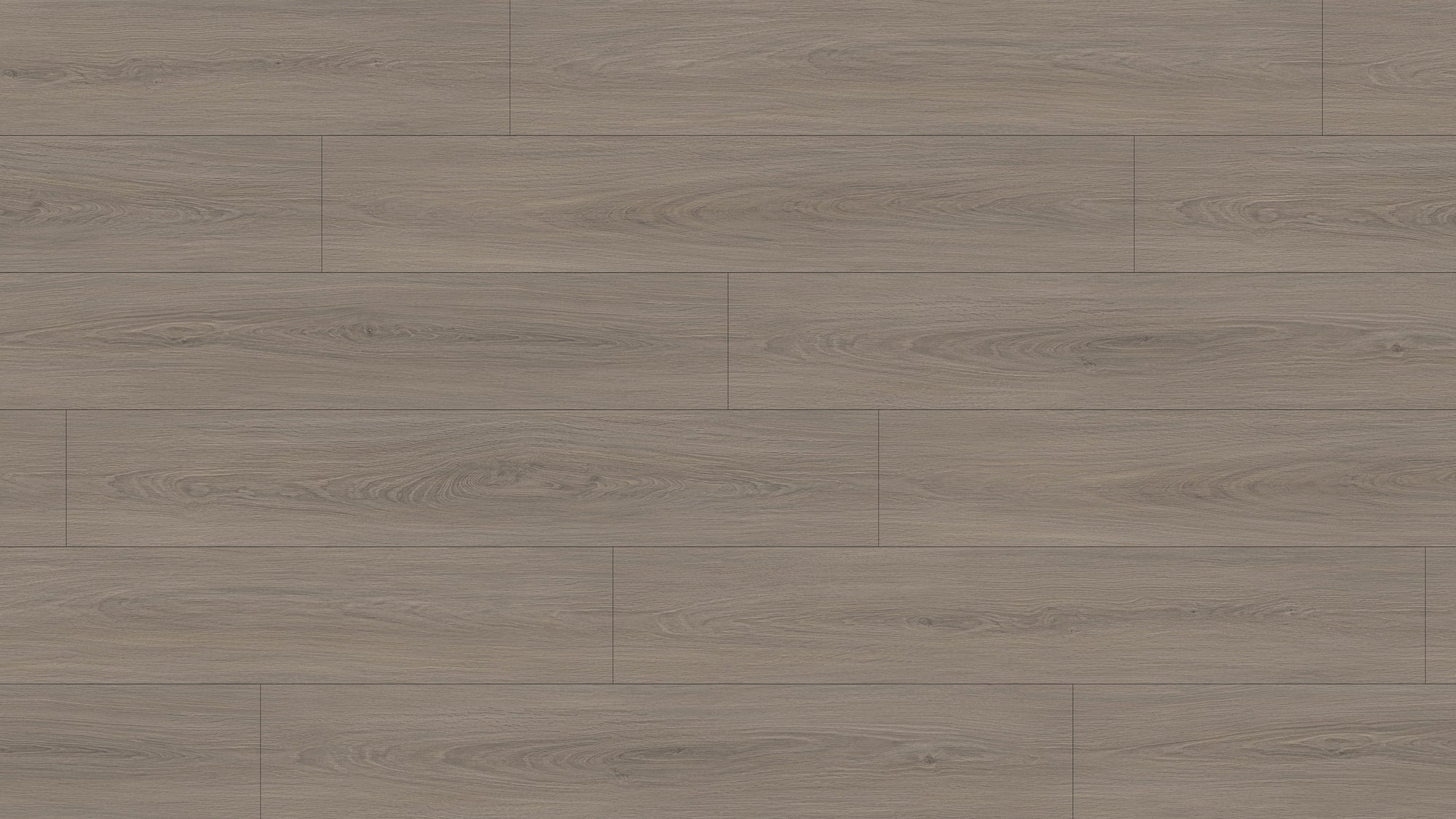 GL6116 雷克雅灰橡