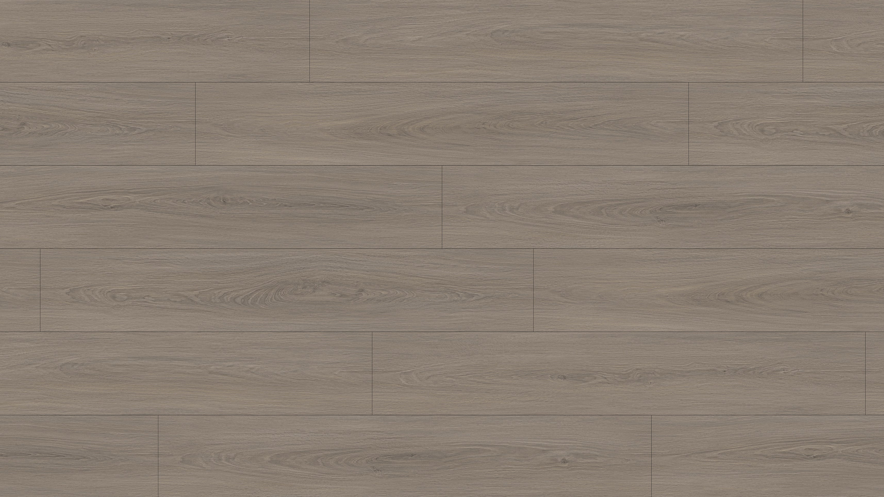 GL6116 雷克雅灰橡