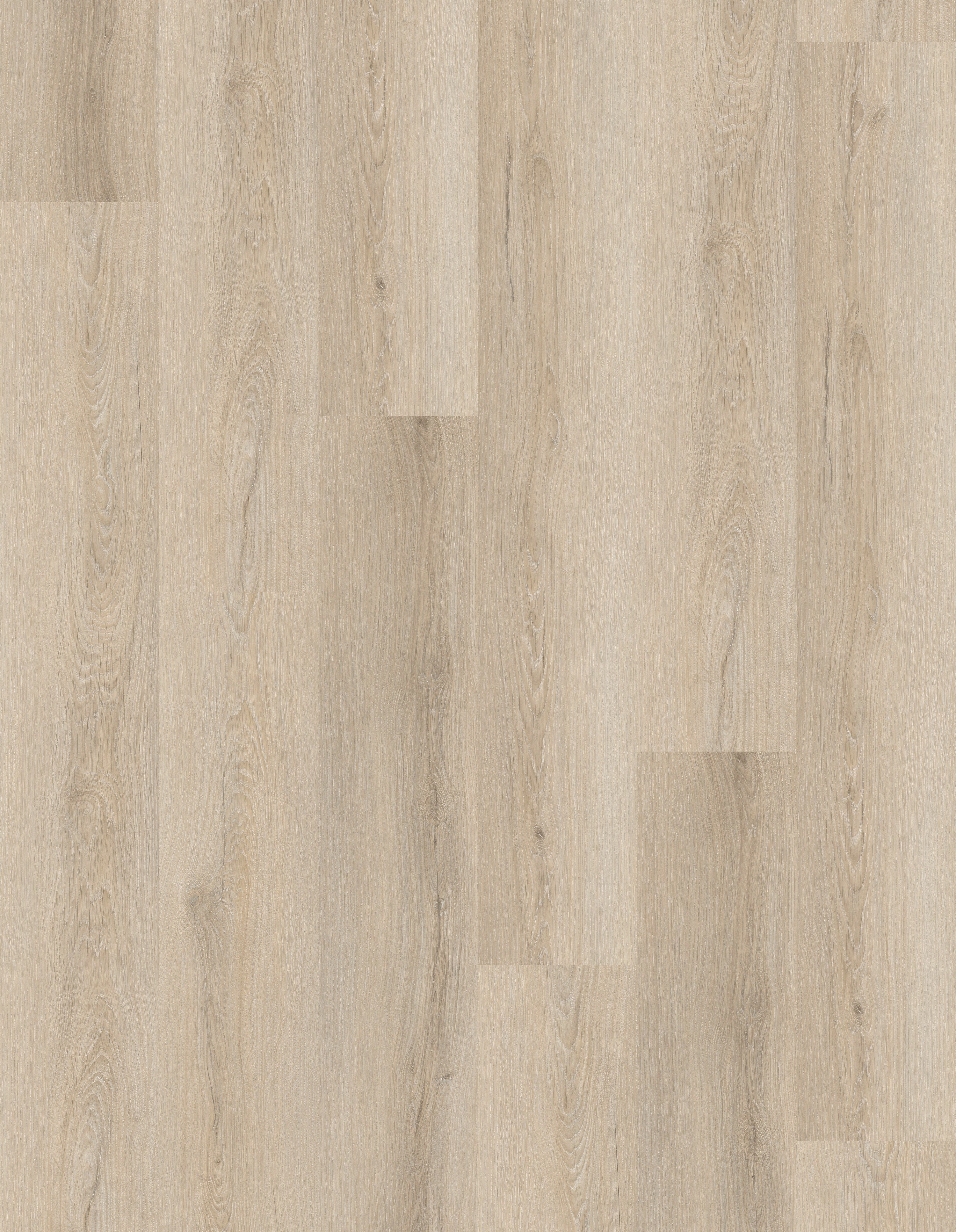 GU1121 庫瑟爾米橡