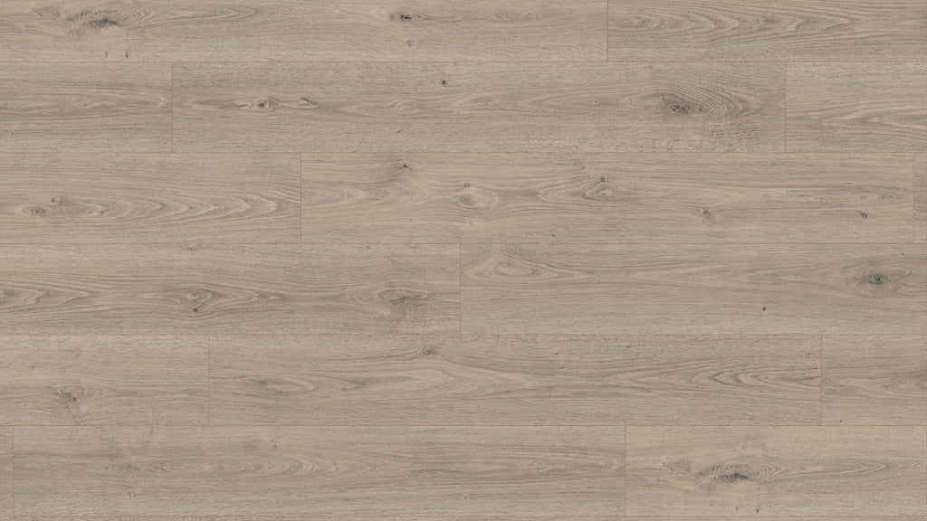 EL2184 特雷維索灰橡