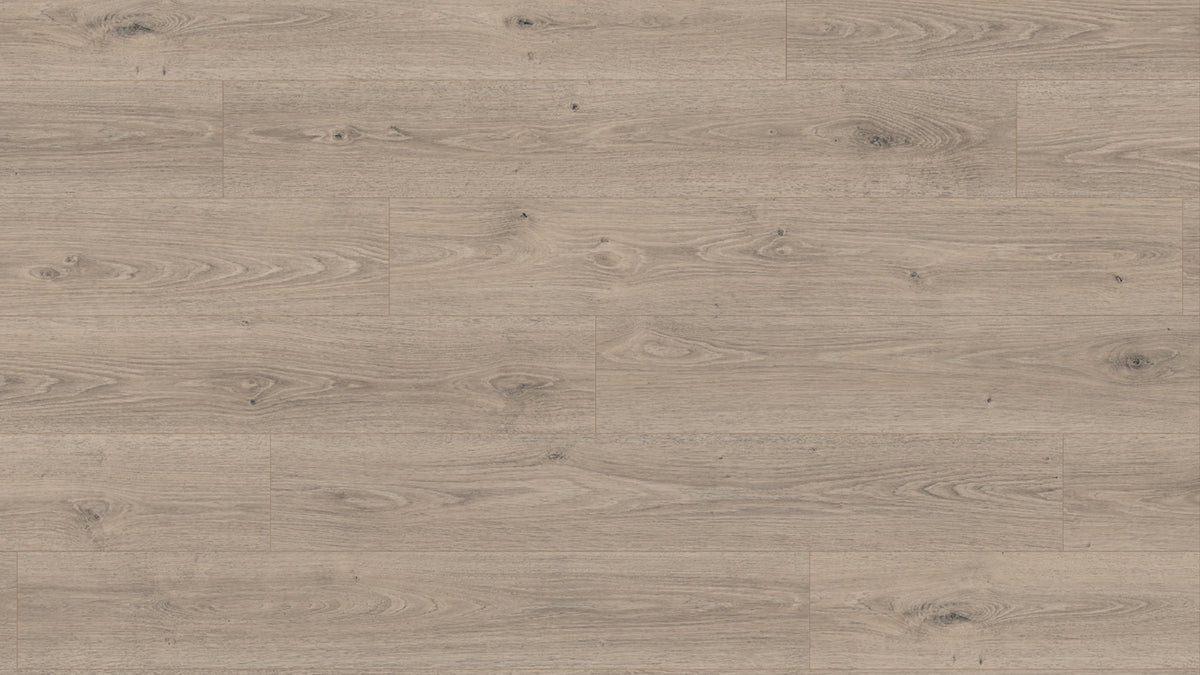 EL2184 特雷維索灰橡