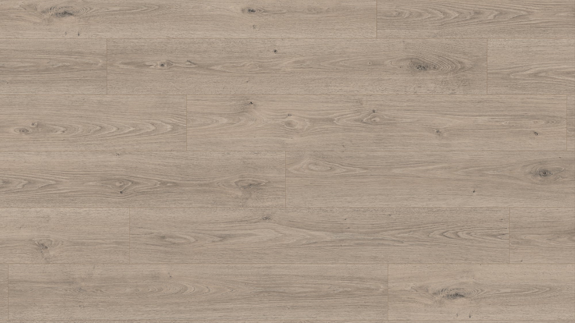 EL2184 特雷維索灰橡