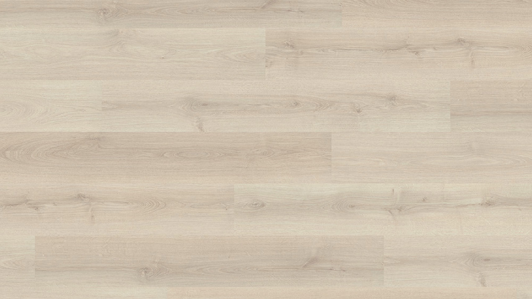 EHL133 科爾皮諾白橡