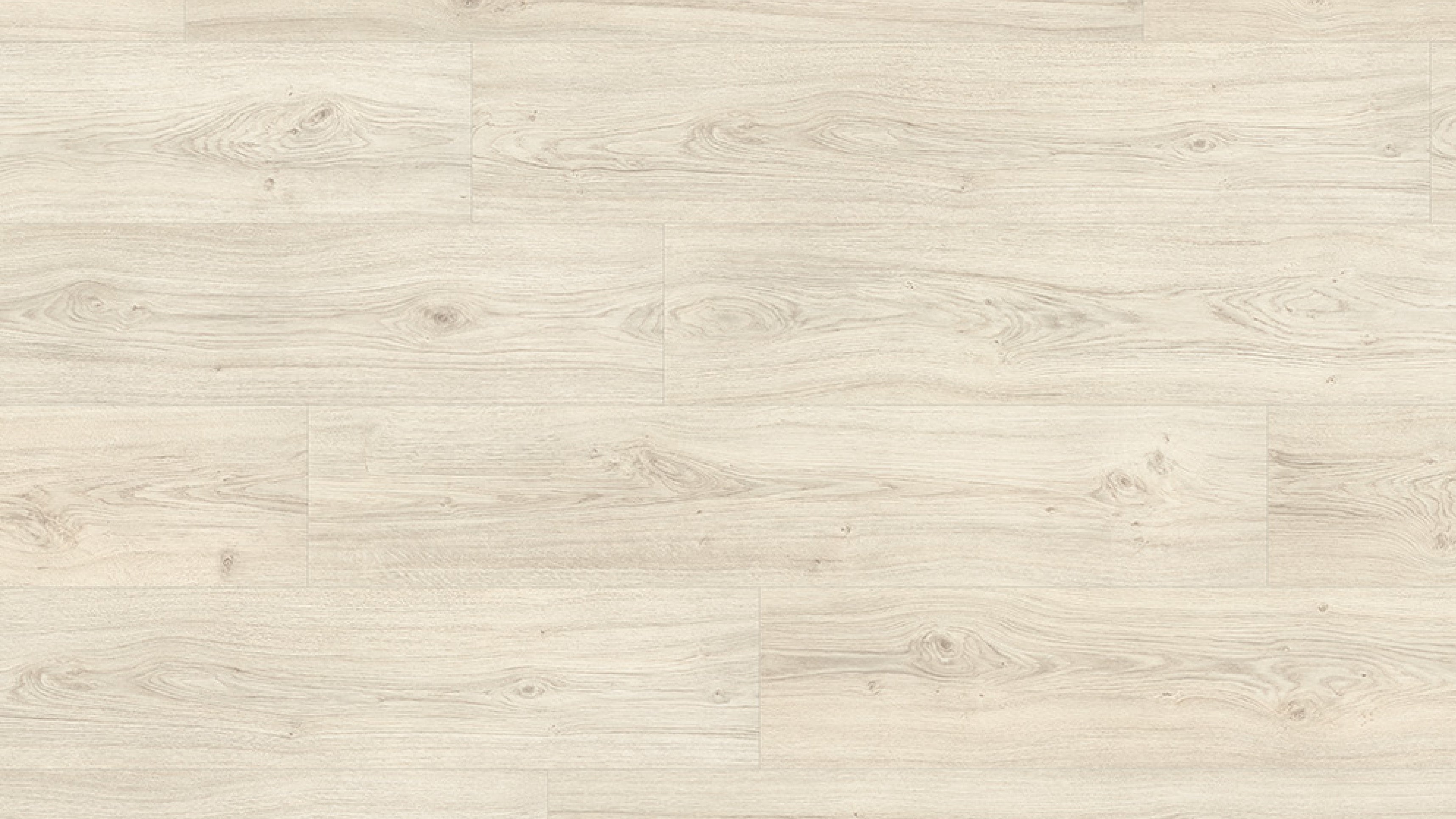 EHL184 馬泰拉淺橡