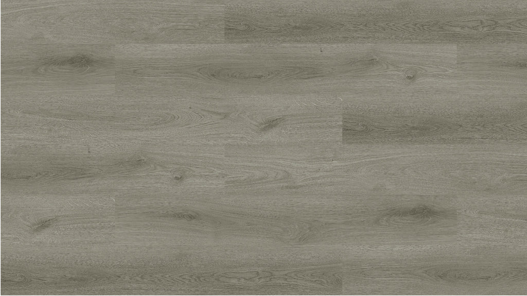 GU1112 特拉凱灰橡