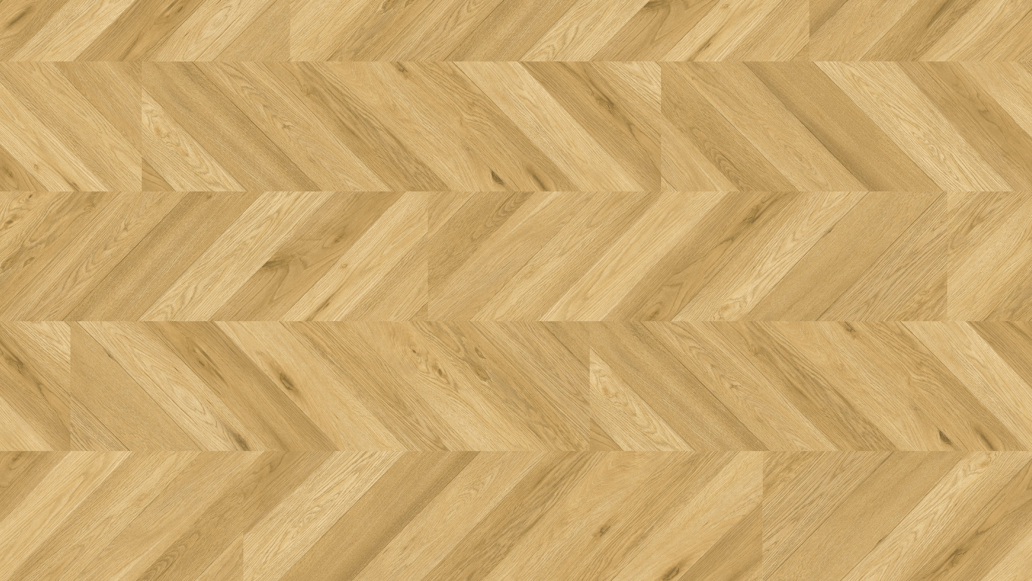 GU4103 洛伊馬黃橡