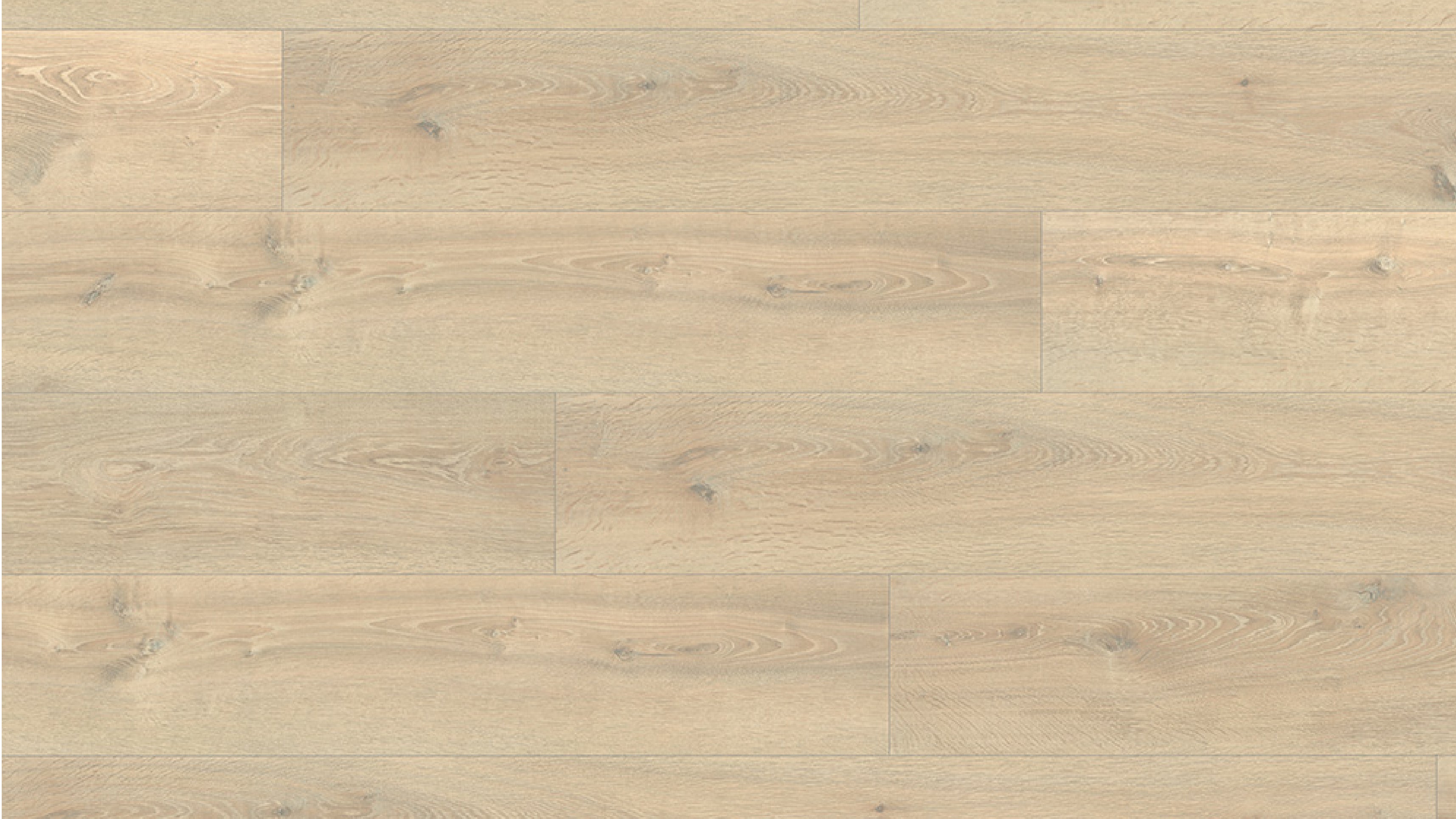 EHL114 盧埃納沙米橡