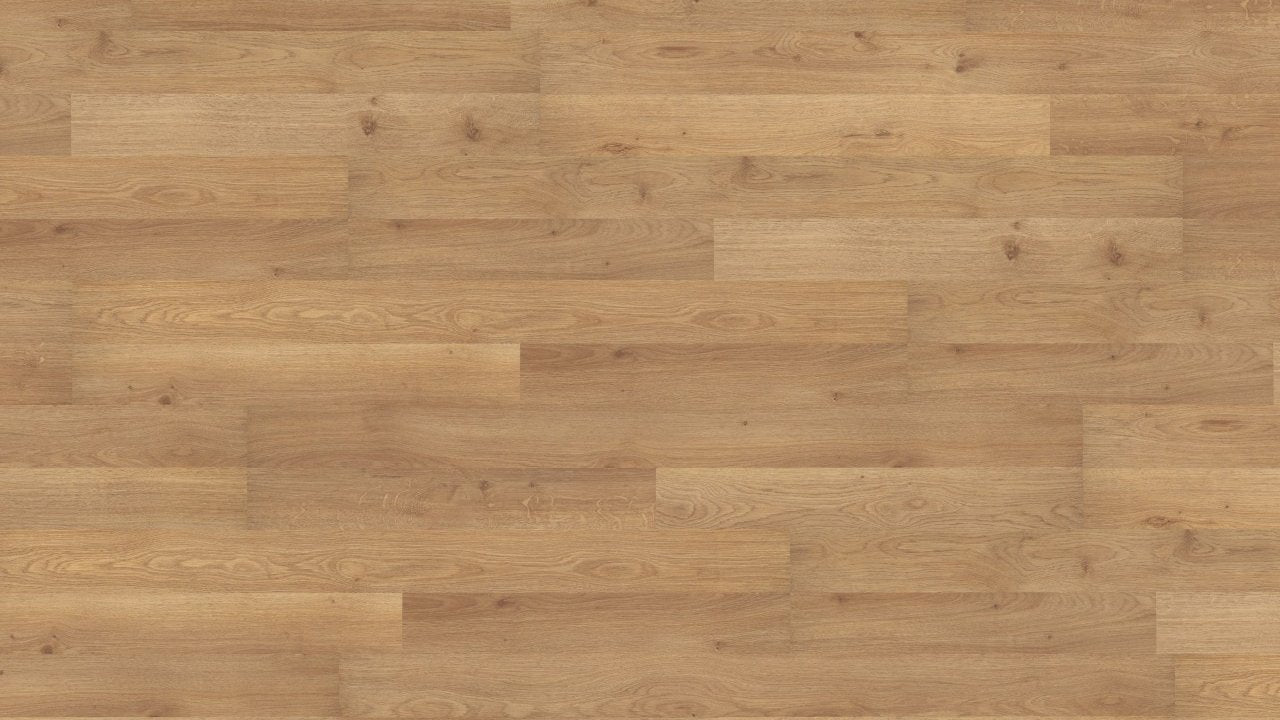 LA030 康瓦爾橡木