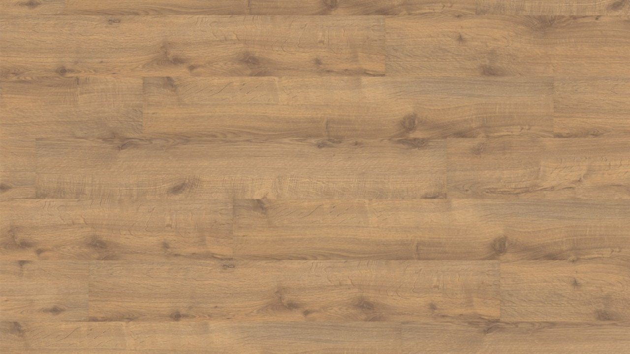 LA005 不萊梅橡木