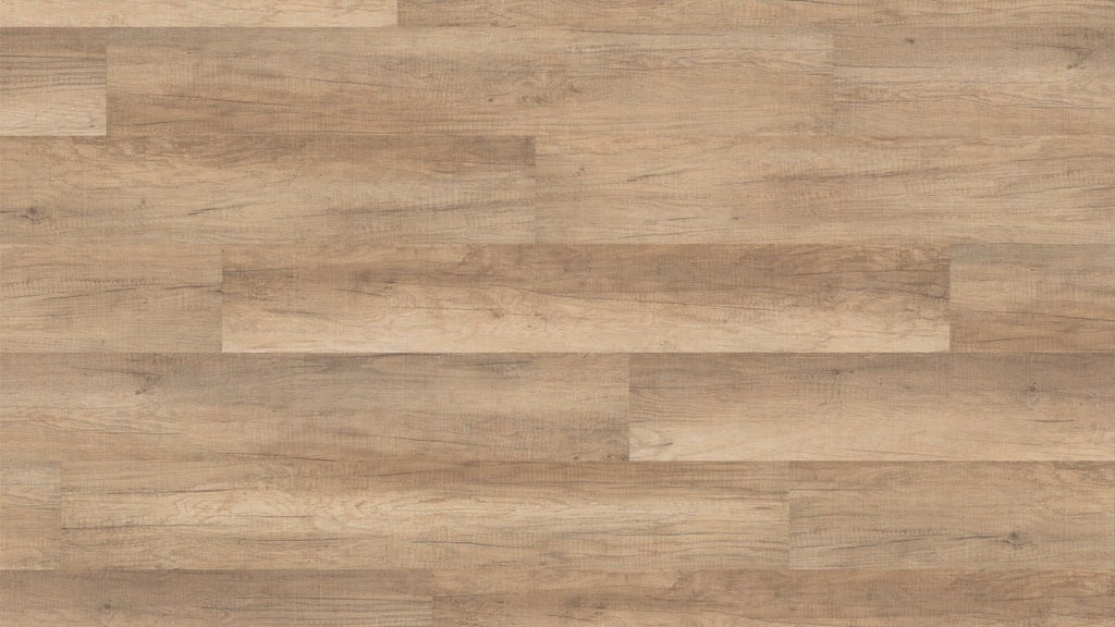 LA008 蘇黎世橡木