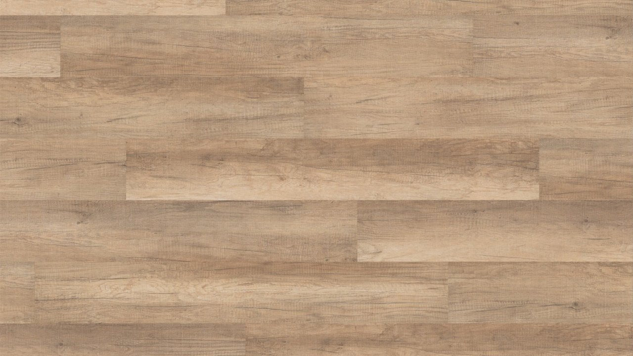 LA008 蘇黎世橡木