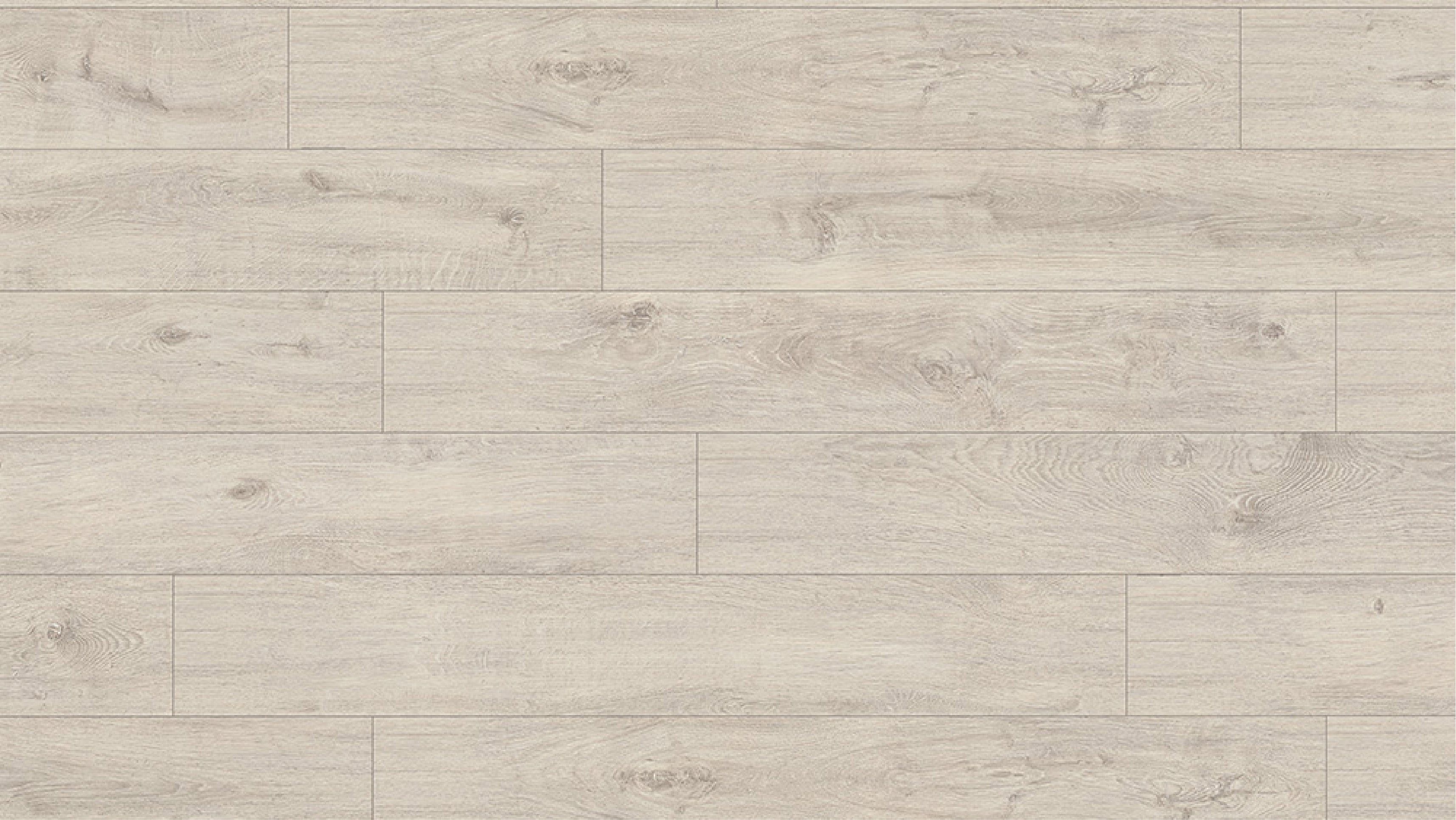 EHL038 維也納梣木