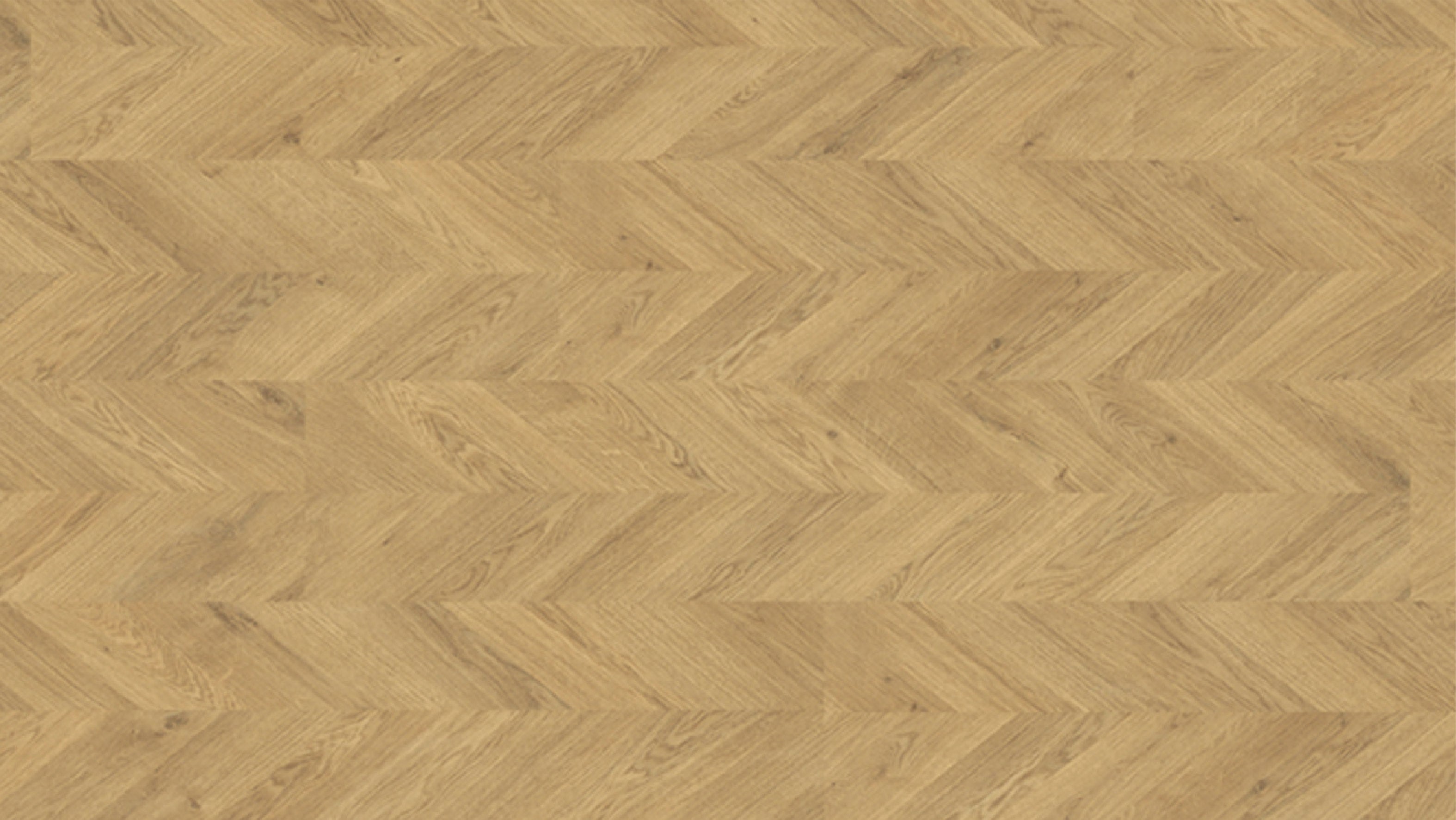 EHL065 韋恩堡淺橡