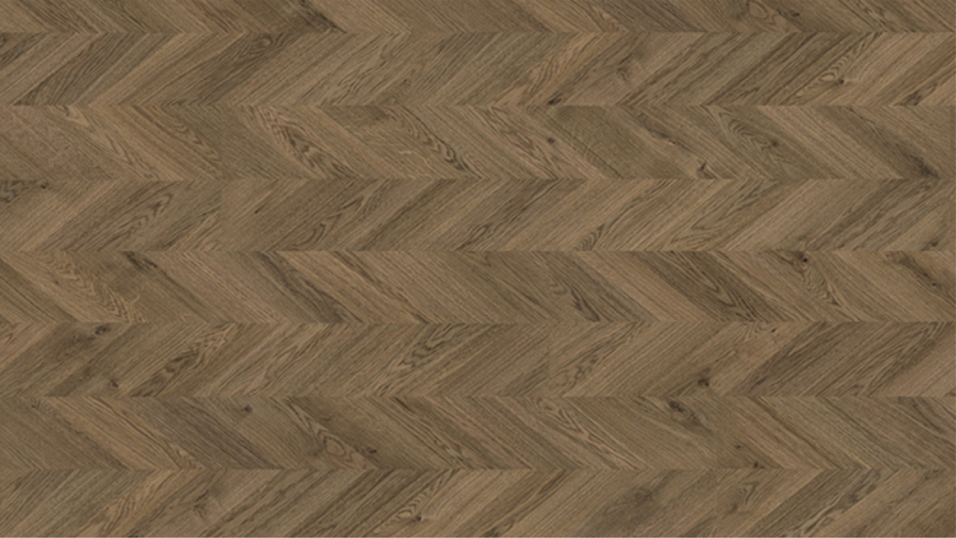 EHL066 韋恩堡棕橡