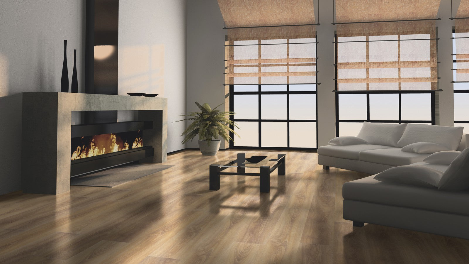 LA024 維爾茨堡白橡