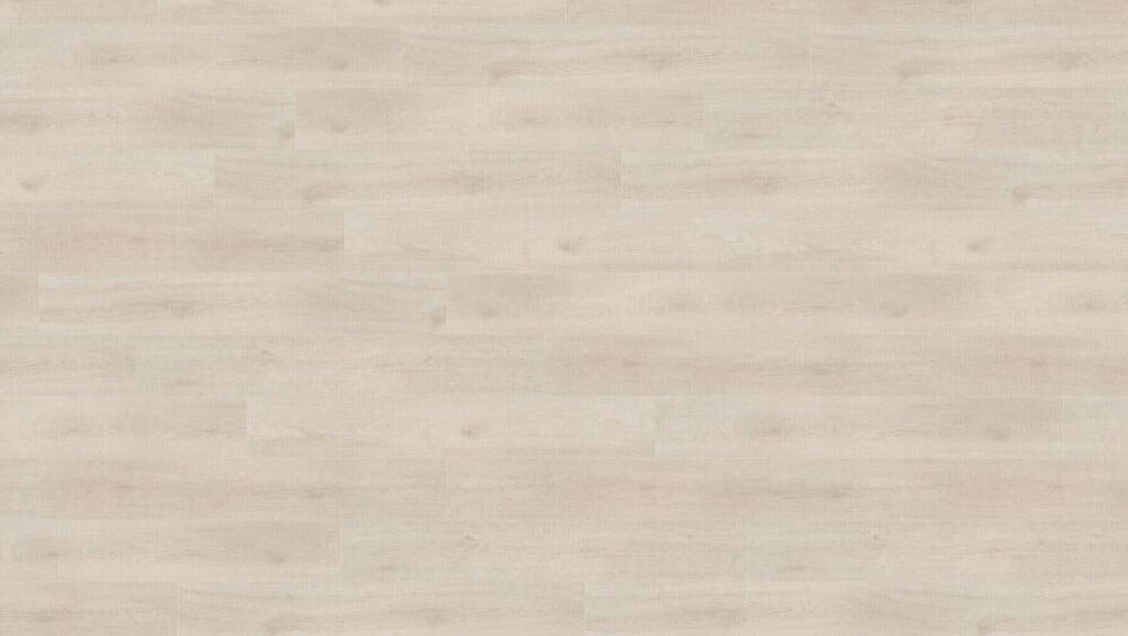 LA179 格陵蘭白橡