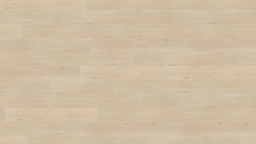 LA184 莫瑟爾白橡