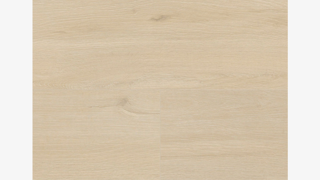 LA184 莫瑟爾白橡