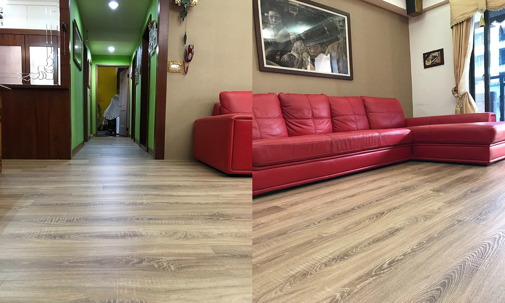 MF4628 維克多黃橡