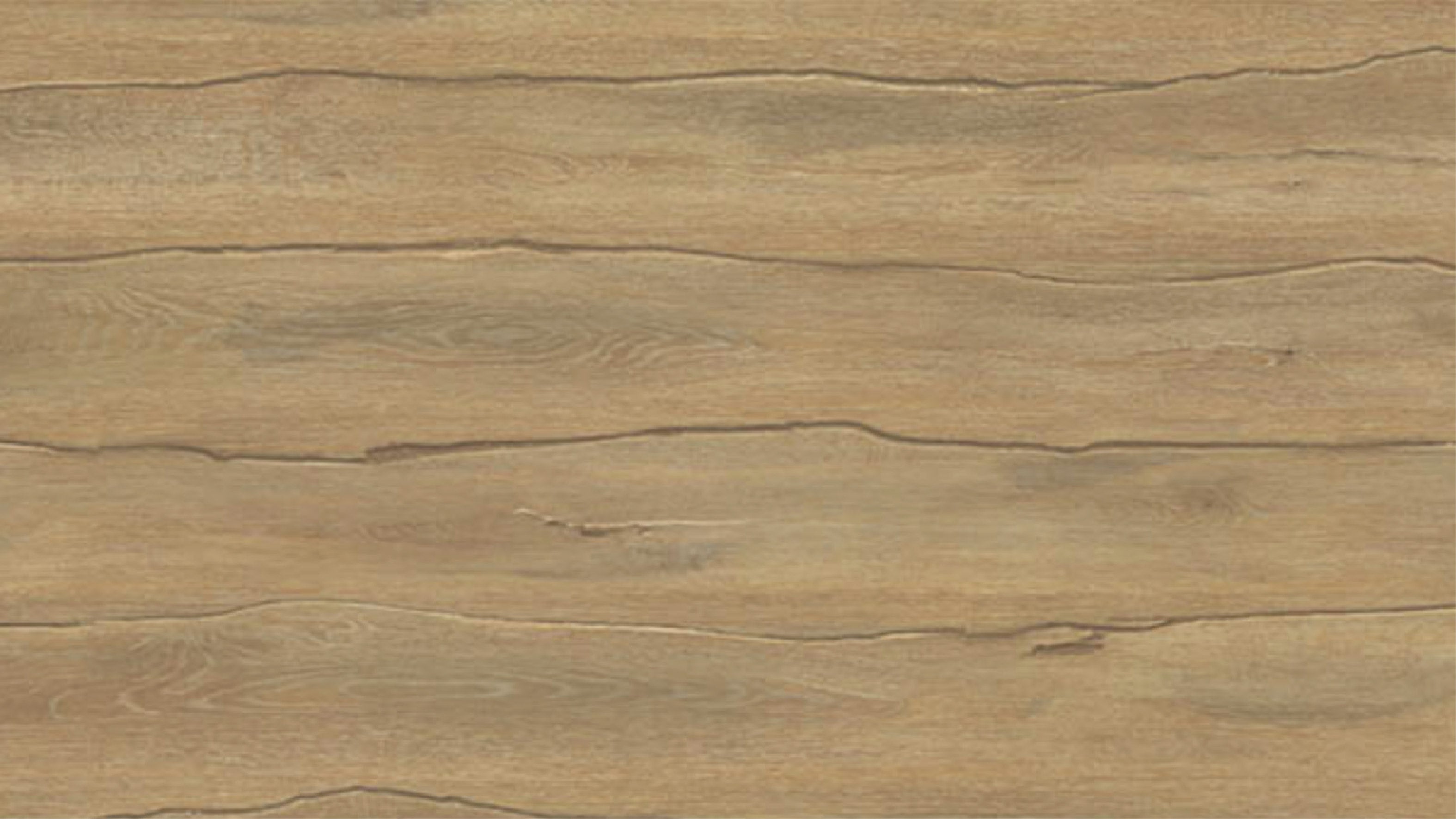 MF4619 赫爾多棕橡